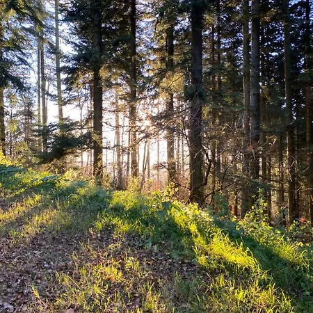 17 Am Berg Winterberg
