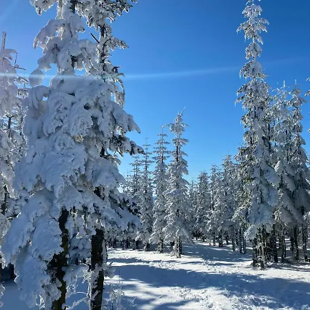 17 Am Berg Winterberg
