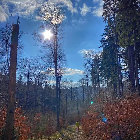 17 Am Berg * Winterberg